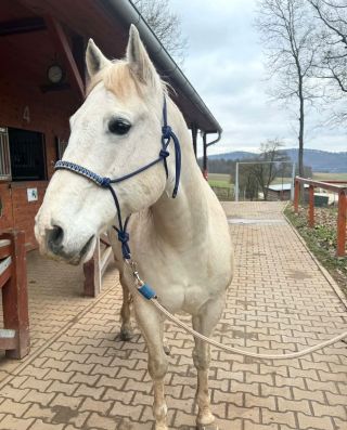 Vánoční dárky z naší dílny už našli svého nového majitele💙✨ Tento provazový set jsme dělali na přání k podsedlové dečce....