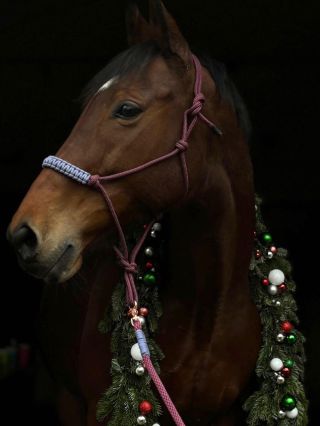 Za Provazovky.cz přejeme Veselé Vánoce a Šťastný Nový rok✨ Děkujeme za Vaši podporu❤️ Díky Vám můžeme dělat a tvořit něco,...